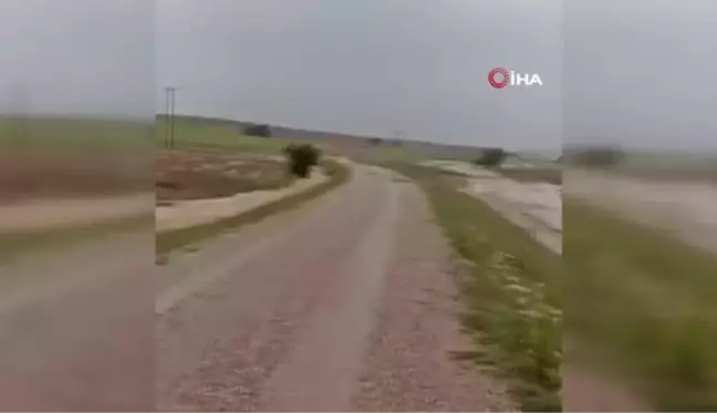 Aslanapa'da sel ve dolu ekili alanlarda zarara yol açtı