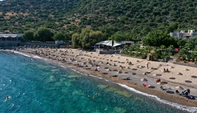 Bodrum Belediyesi Halk Plajları Sezona Hazır