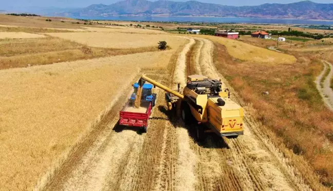 Elazığ'da yılın ilk arpa hasadı gerçekleştirildi