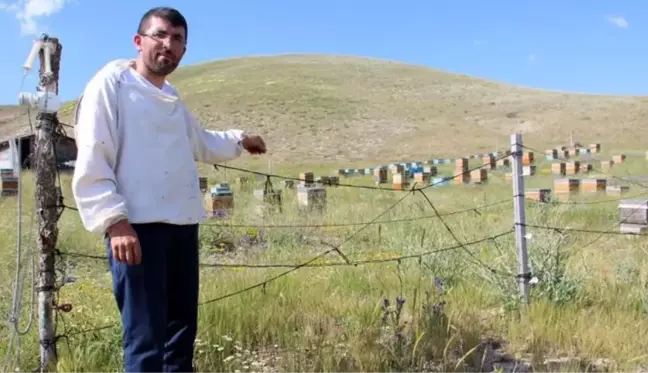 Sivaslı arıcı, zekası ile ayıları yendi! Bu alana giren ayılar arkasına bakmadan kaçıyor