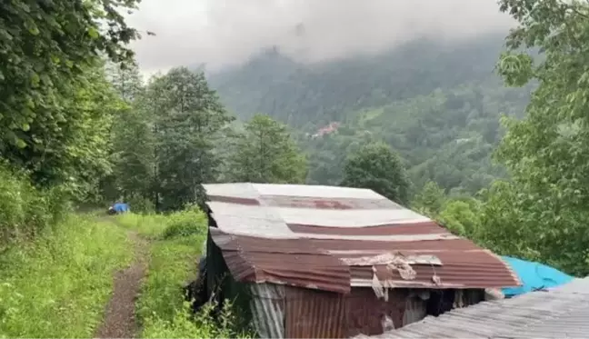 64 yaşındaki kadın ikisi de yatalak olan annesi ve kız kardeşine bakıyor