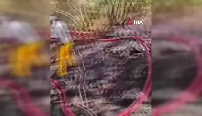 Son dakika haberi: Afyonkarahisar'dan giden ekipler Marmaris'te yangın soğutma çalışmalarını sürdürüyor