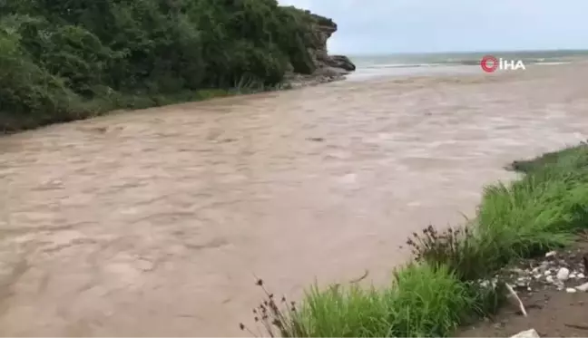 Selin sahile sürüklediği odunları, kışın yakmak için topladılar