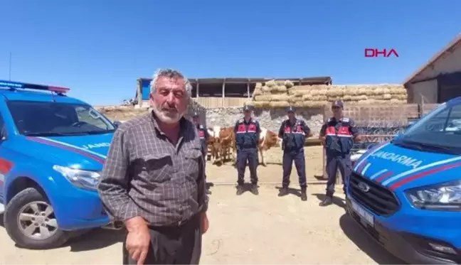 AKSARAY'DA ÇALINAN 8 BÜYÜKBAŞ KURBANLIK, ŞANLIURFA'DA BULUNDU