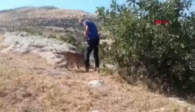 DİYARBAKIR'DA, KAYIP ŞİZOFRENİ HASTASI İÇİN ARAMA ÇALIŞMASI BAŞLATILDI