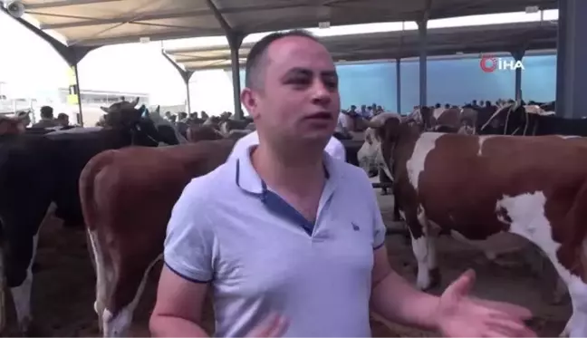 Kurban pazarında arefe yoğunluğu