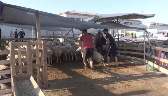 Niğde'de hayvan pazarında bayramda da hareketlilik devam ediyor