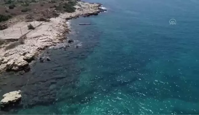 Fotoğraf tutkunları Mersin kıyılarındaki su altı kanyonları için dalıyor