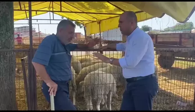 Tekirdağ'da, Hayvan Pazarındaki Besici: 