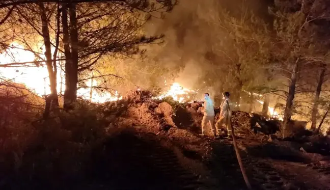 Son dakika: Datça'daki orman yangınında çalışmalar gece de devam ediyor