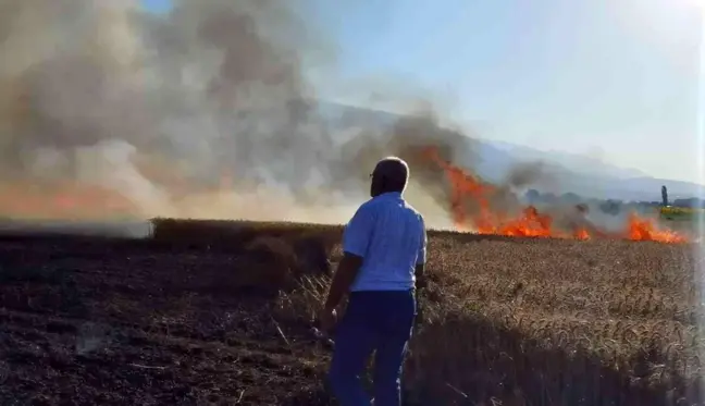 Buğday tarlası yangında küle döndü