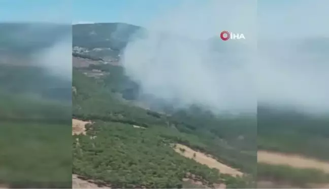 Hatay'da orman yangını çıktı, havadan ve karadan müdahale ediliyor