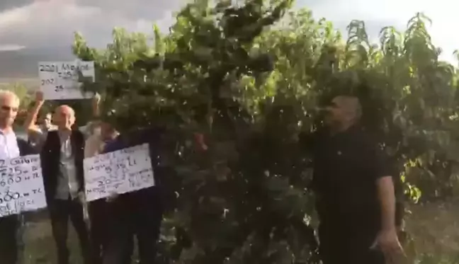 Tokatlı Meyve Üreticileri Fabrikanın Belirlediği Taban Fiyatı Protesto Etti: 