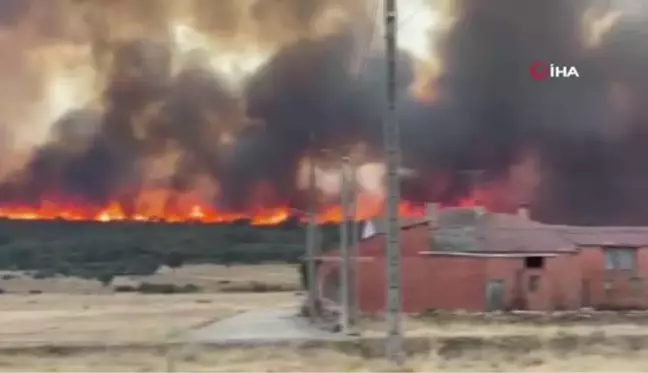 Avrupa'nın güneyi sıcak hava dalgasına teslimYangınlarda 100 bin hektardan fazla alan küle döndüİngiltere'de sıcaklıkların ilk kez 40 dereceyi...