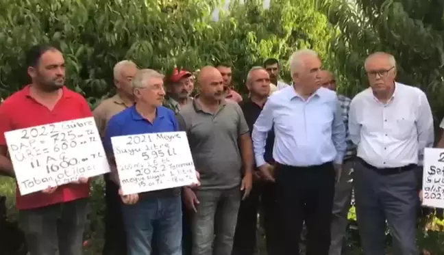 Tokatlı Üreticilerden Meyve Taban Fiyatının Geçen Yıldan Düşük Olmasına Tepki: 