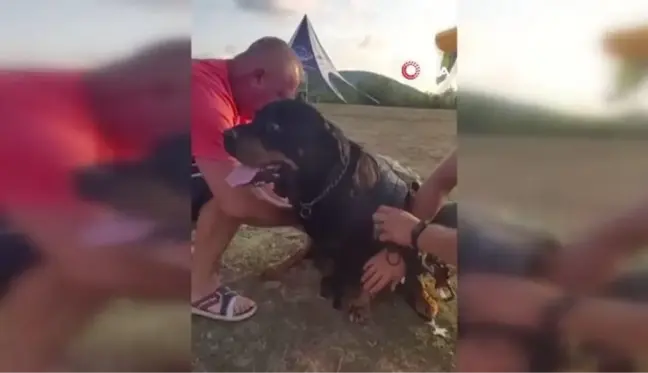 İlk kez bir köpekle uçma deneyimi yaşayan paraşütçü o anları anlattı: 