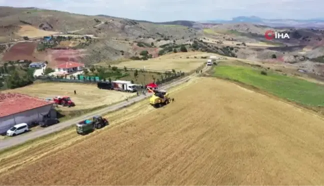 Keçiören Belediye Başkanı Turgut Altınok, buğday hasadına katıldı