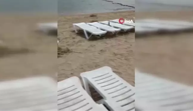 Büyükada'da halk plajına giden vatandaşlar 'striknin' tehlikesi ile karşı karşıya