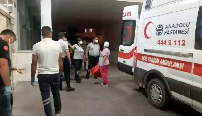 ANTALYA'DA SİLAHLI BIÇAKLI 'HAYVAN OTLAMA' KAVGASI: 2 ÖLÜ, 1 YARALI