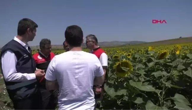  BALIKESİR'DE ÇAYIR TIRTILLARINA KARŞI ZİHA'LAR İLE MÜCADELE EDİLİYOR