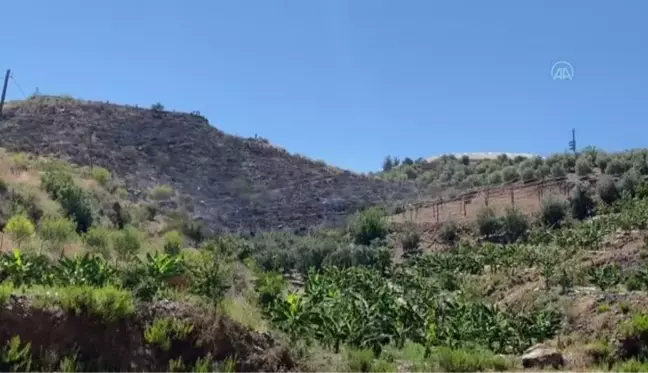 Badem bahçesinde çıkan yangın söndürüldü