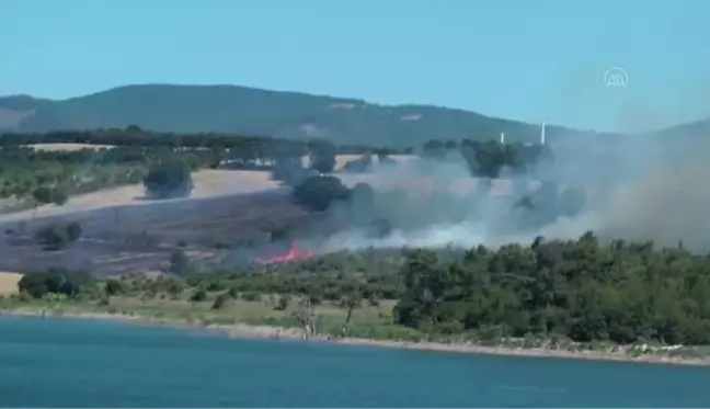 ÇANAKKALE - Bayramiç'te çıkan orman yangınına müdahale ediliyor