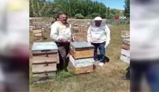 Binali Yıldırım, memleketi Refahiye'de sezonun ilk bal hasadına katıldı