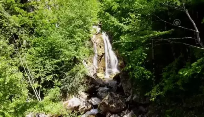 Kastamonu haber | KASTAMONU - Yeşilin tonları arasındaki şelale: Kızılcasu