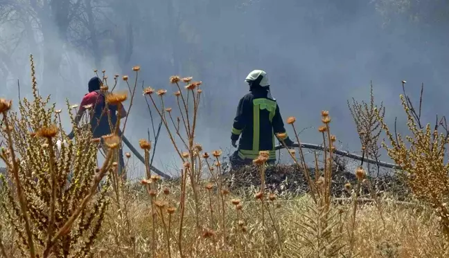 Son dakika haberi | Örtü yangınında arı kovanları ve ağaçlar küle döndü