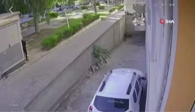 Son dakika haberleri | Zabıta Müdürü'ne silahlı saldırı anı kameralara yansıdı