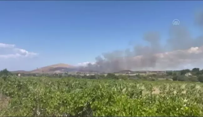 Çanakkale gündem haberi | ÇANAKKALE - Bozcaada'da çıkan örtü yangını kontrol altına alındı