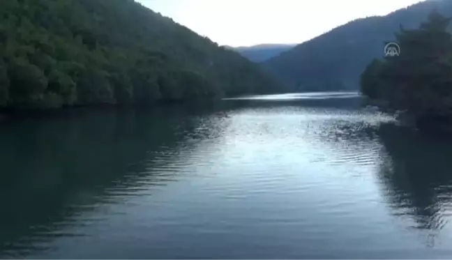 Amasya haber: Kalkınma Ajansları Genel Müdürü Yeniçeri, Taşova'da desteklenen projeleri inceledi