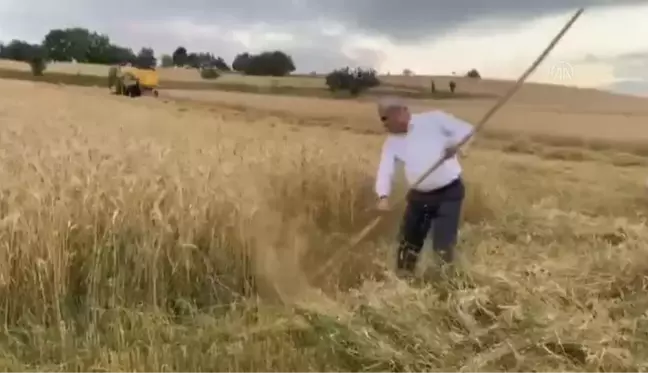 Karabük gündem haberi: AK Parti Karabük Milletvekili Ünal, tırpanla hasat yaptı