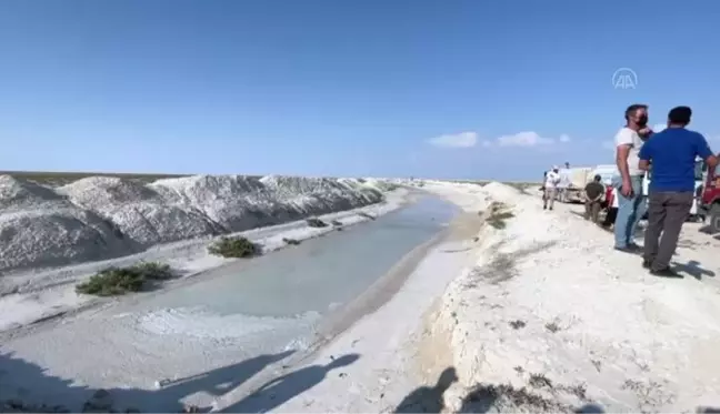 Tuz Gölü'ndeki yavru flamingolar için tankerlerle su takviyesi yapılıyor