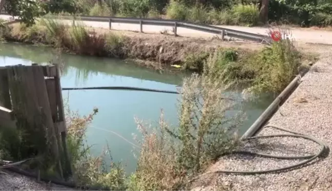 Serinlemek istediği sulama kanalında can verdi