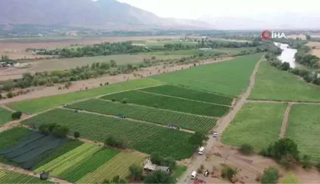 Erzincan yerel haberi | Erzincan'da hasat dönemi başladı