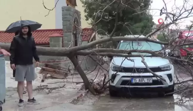 Fırtınada ağaçlar devrildi, yolları su bastı