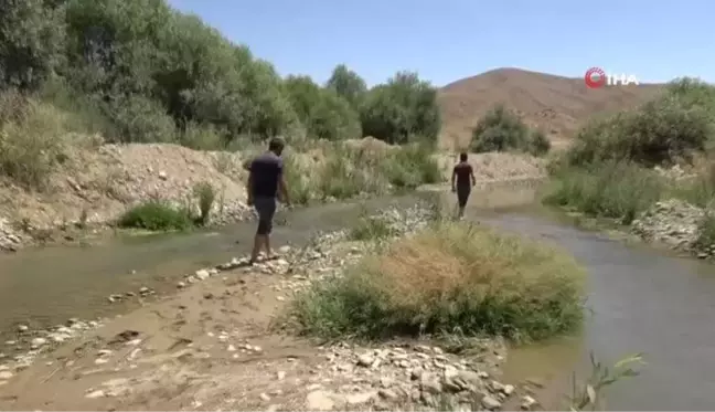 Son dakika haberi! Yüksekova'da korkutan balık ölümleri