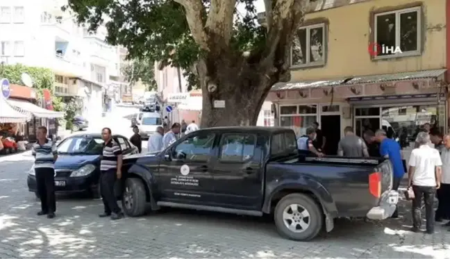 İzinsiz kazıda asırlık anıt ağacın köklerini iş makinesiyle parçaladılar