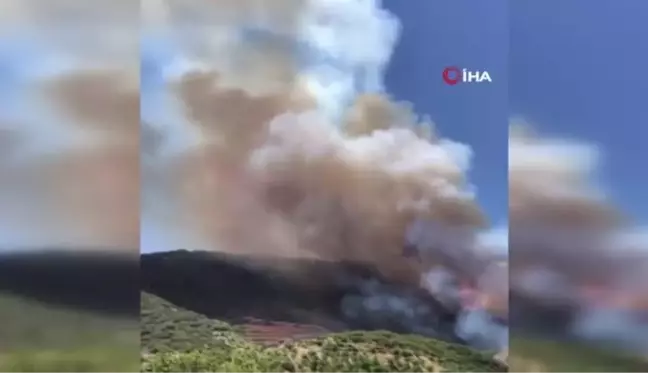 Son dakika haber: İzmir ve Manisa'da 8 ayda 455 yangın çıktı