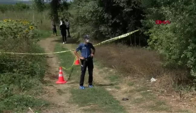 İSTANBUL-ÇATALCA'DA AYÇİÇEĞİ TARLASINDA CESET BULUNDU