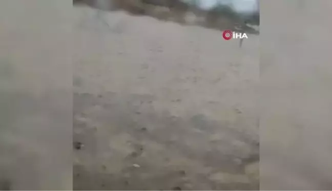 Ardahan haberi! Tekneler denizde değil, depoda yüzdü...Sağanak yağış depoları göle çevirdi