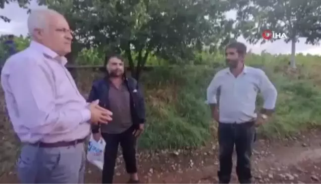 Aniden bastıran dolu yağışı tütün tarlalarına zarar verdi