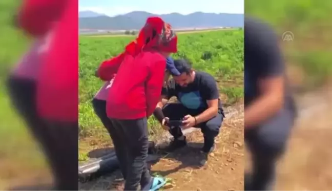 Son dakika haberleri... GAZİANTEP - Meslektaşları Gaziantep'teki kazada yaşamını yitiren muhabirleri anlattı