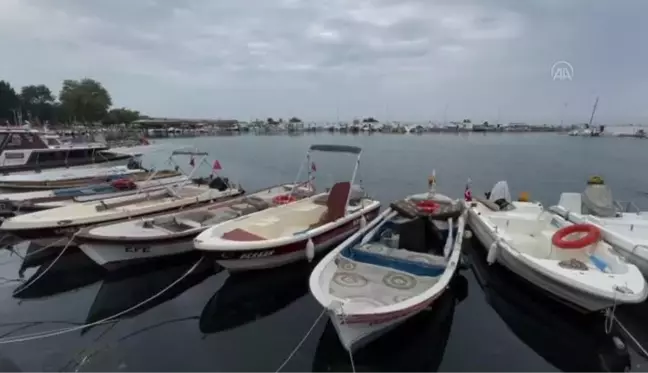 Çanakkale gündem haberi: ÇANAKKALE - Marmara'da hamsi Karadeniz'de palamut balıkçıları umutlandırdı