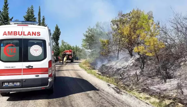 Son dakika haberi: Osmaniye'de orman yangını kontrol altına alındı