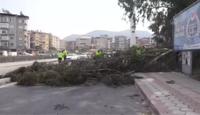 Devrilen ağacın altında kalan motosikletteki 2 kişi yaralandı