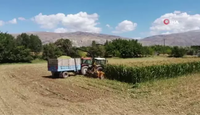 Erzincan haberleri: Silajlık mısır hasadı Erzincan'da başladı