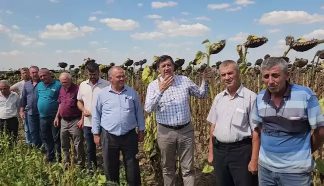 Edirne haberleri: CHP Edirne Milletvekili Gaytancıoğlu: 