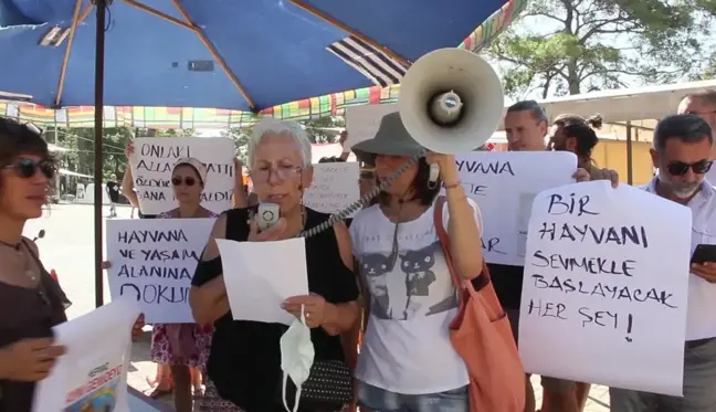 Muğla yerel haberleri | Muğla Akyaka'da Hayvanseverler Zehirlenen Kediler İçin Eylem Yaptı